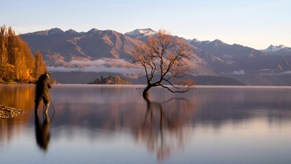 Breathtaking scenery of a tree in a bright frozen lake during winter in New Zealand