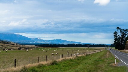 Naklejka premium Scenic view of farmland filled with pasture seen from the road in the countryside