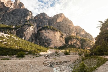View of cliffs covered with green vegetation.