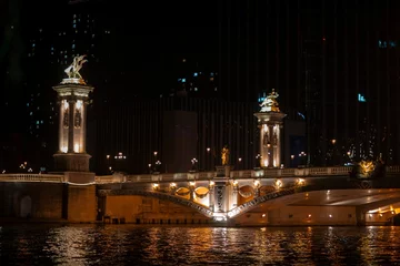 Foto op Plexiglas Pont Alexandre III Scenic view of the Pont Alexandre III bridge in Paris at night