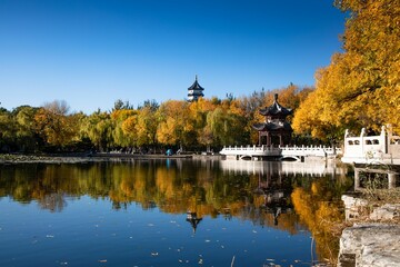 Mesmerizing shot of a lake during the autumn, with trees and traditional temples in the background