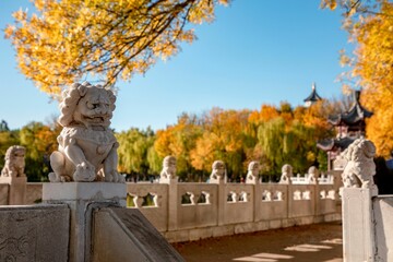 Selective shot of White Kilen statue in a garden,  Asian temples in the background during autumn