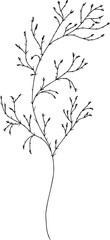 Hand drawn small budded branch