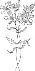 Hand drawn wild flowers and buds