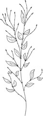 Hand drawn Leaves and buds on branch