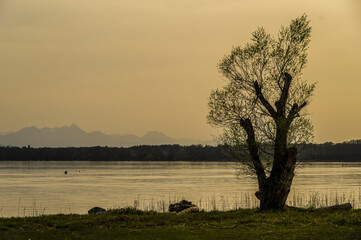 Einsam am Chiemsee