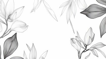Fototapeta premium Line art background of flowers on a white background.