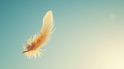 Feather drifting down against a backdrop of clear