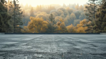 Foto op Aluminium Misty autumn morning on a serene forest road © tnihousestudio