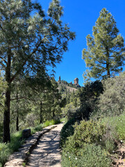 Fototapeta premium Path towards Roque Nublo