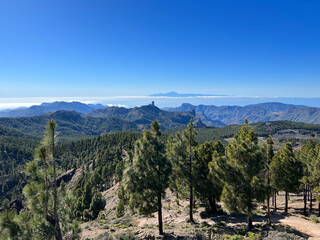 View from Pico de Las Nieves