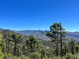 Scenery around Tamadaba Natural Park