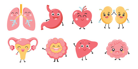 Cute smiling happy human healthy strong organs set. cartoon character illustration icon design. Isolated on white background. Heart, liver, brain, stomach, lungs, kidneys,intestine,uterus organ