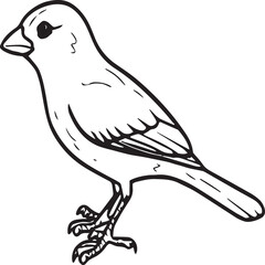Obraz premium Sparrow coloring pages. Sparrow bird outline vector for coloring book