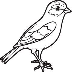 Sparrow coloring pages. Sparrow bird outline vector for coloring book