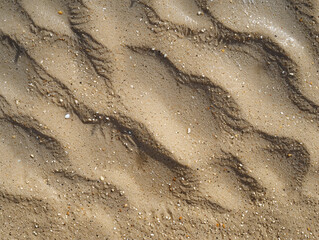 Fototapeta premium Textured Sandscape