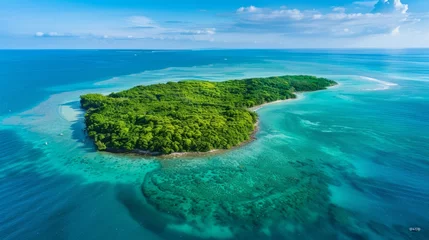 Foto op Canvas Drone photo capturing an isolated island surrounded by crystal-clear waters, lush tropical vegetation, the contrast of blue and green © Rassul