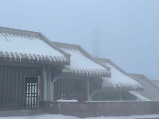 View of snow covered building roofs