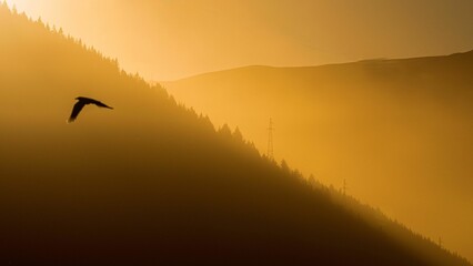 Breathtaking view of a bird flying over mountains during dramatic sunset