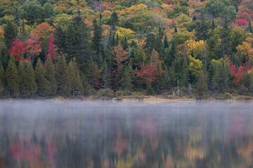 Beautiful shot of a lake covered in fog near colorful trees in autumn