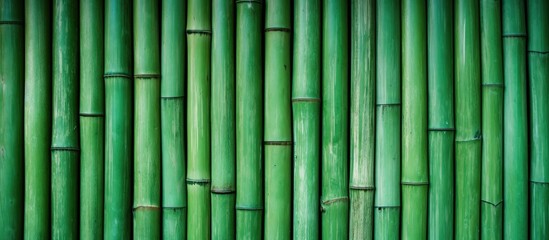 Naklejka premium Bamboo Leaves Close-Up