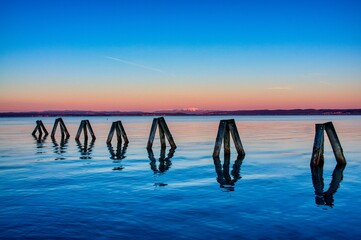 Old posts in Lake Neusiedl at dawn. Austria