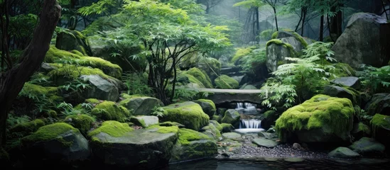 Foto auf Acrylglas stream flowing in vibrant green forest amidst rocks © vxnaghiyev