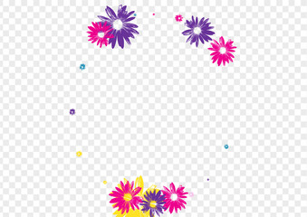 Pink Plant Background Transparent Vector. Chamomile Sweetie Textile. Multi-colored Daisy Beautiful. Beauty Design. Handsome Green Flowers.