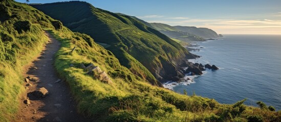 Path winding towards ocean on cliff