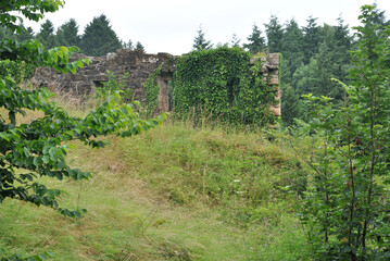 Old Overgrown Ruined Stone Building on Hill Obscured by Grass