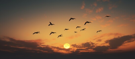 Birds soaring across a fiery sunset sky