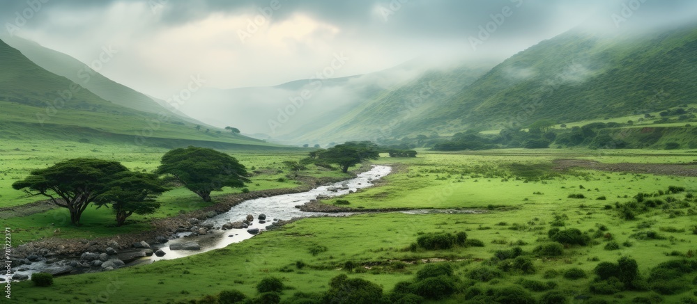 Poster stream flows through valley with trees