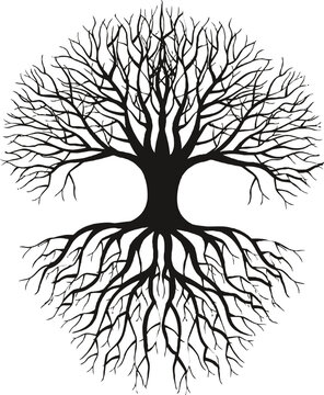 Tree Roots Illustration