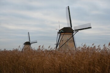 Werelderfgoed Kinderdijk windmills on brown grass field in Kinderdijk, Netherlands