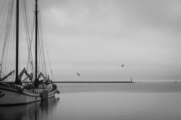 Grayscale of a big boat on the calm sea with flying birds and gray sky on the horizon