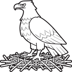 Eagle coloring pages. Eagle bird outline vector for coloring book
