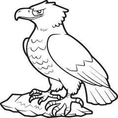 Eagle coloring pages. Eagle bird outline vector for coloring book