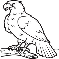 Eagle coloring pages. Eagle bird outline vector for coloring book