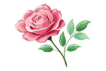 Watercolor pink rose with leaves and stem silhouette vector illustration