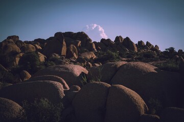 Obraz premium Natural landscape under a pink sky