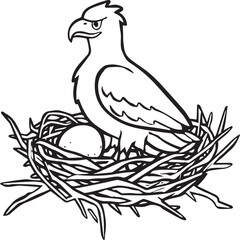 Eagle coloring pages. Eagle bird outline vector for coloring book