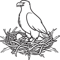 Eagle coloring pages. Eagle bird outline vector for coloring book
