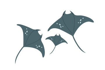 Vector flat illustration isolated on white background, sea animals illustration, vector flat stingray family, flat stingray with a baby