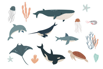 Vector flat illustration isolated on white background, sea animals set, vector whale, shark, narwhal, jellyfish, dolphin, stingray, turtle and shrimp