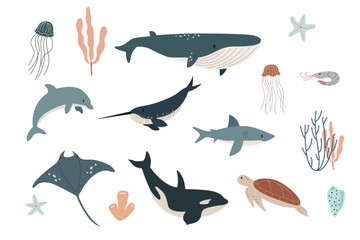 Vector flat illustration isolated on white background, sea animals set, vector whale, shark, narwhal, jellyfish, dolphin, stingray, turtle and shrimp © luamor