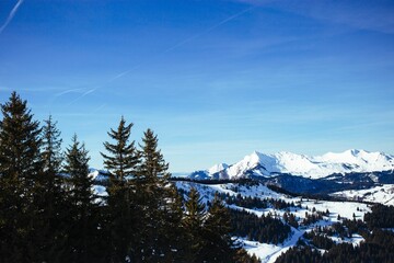 Aerial view of evergreen trees and snowcap mountains under blue sky in Morzine, France - obrazy, fototapety, plakaty