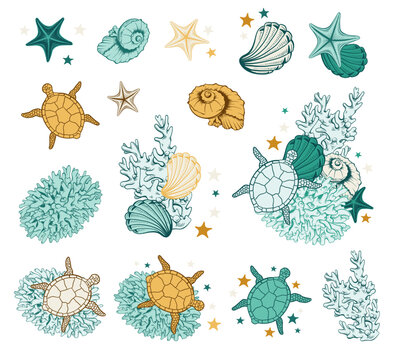 Turquoise and Gold Seashells Turtles Sea Stars Marine Summer Illustrations Vector Set