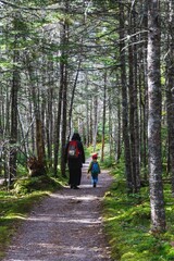 Obraz premium Parent and child walking down the woodland trail in Quoddy Head State Park