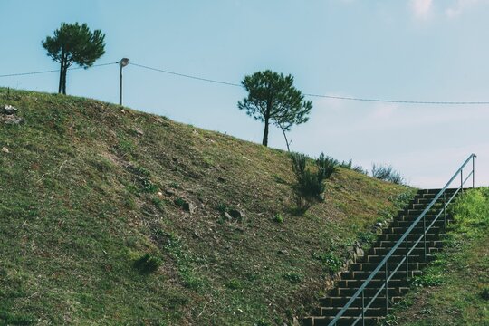 Staircase with a handrail going up the hill covered with meadow