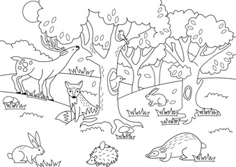 Fototapeta premium Cartoon forest coloring PNG illustration